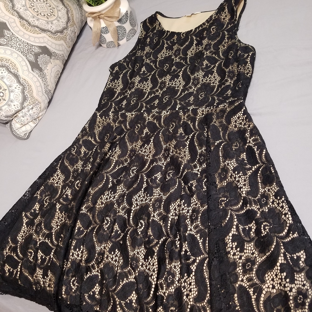 Charming Charlie🌹 dress